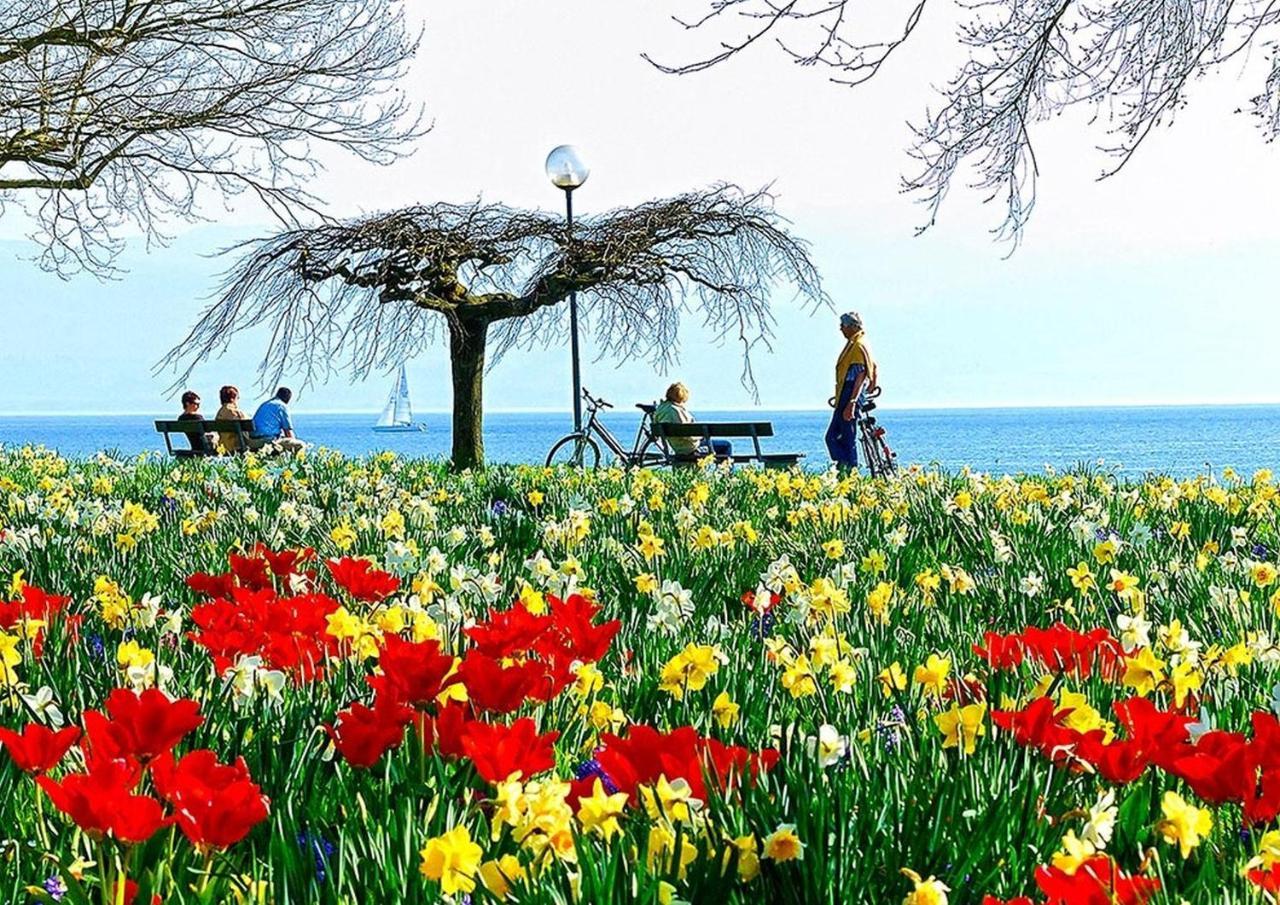 Hotel Am Rehberg ลินเดา ภายนอก รูปภาพ